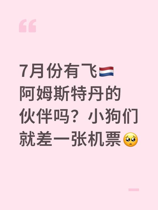 7月份有飞🇳🇱阿姆斯特丹的伙伴吗？小狗们就差一张机票🥺