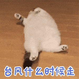 台风巴威又睁眼了我买好了各种物资，在等它的到来。结果，就这……风力17级变14级