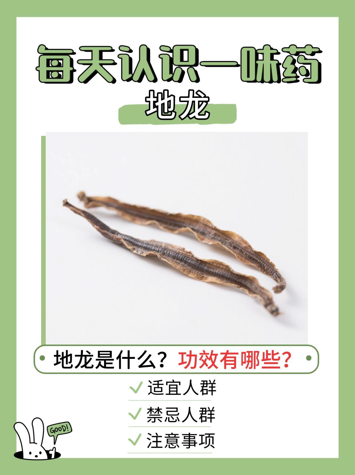 中医中药 今天来聊一个听起来有点“可怕”但超神奇的中药材——地龙！😱（先别划走