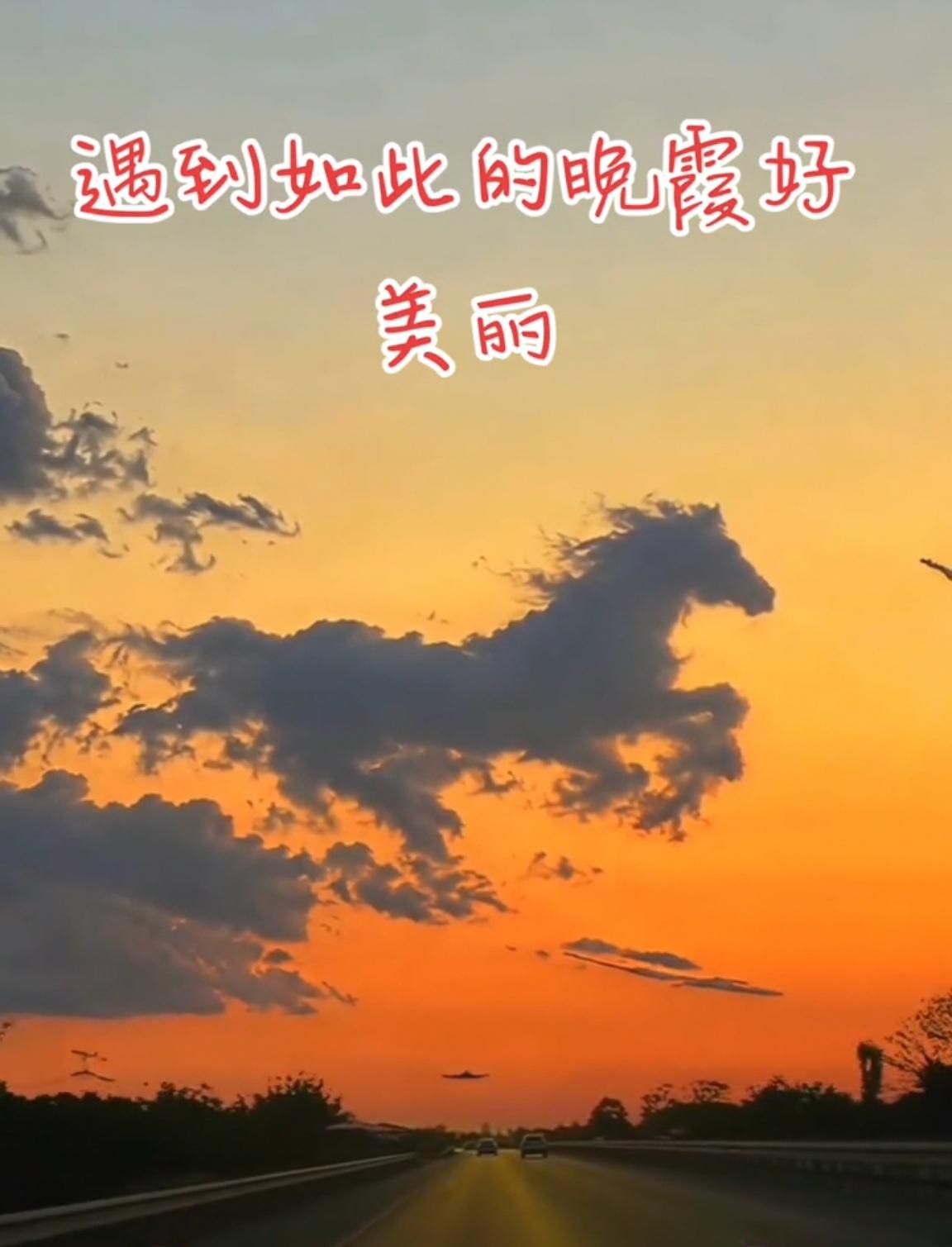 观云马晚霞
 
一路长天向远霞，流云幻作骏马斜。
金辉漫染山河色，自在乘风赴岁华