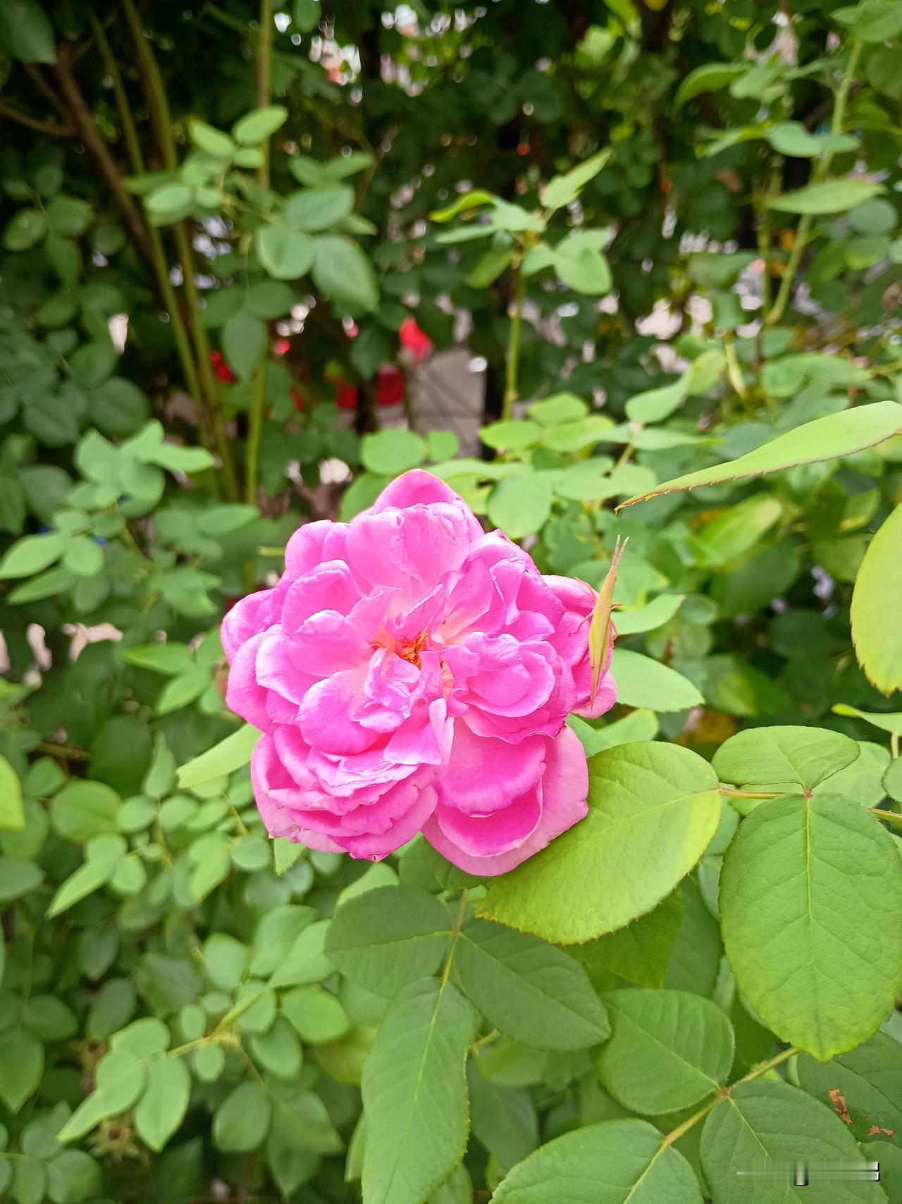 我会理解每一个人的突然选择，哪怕是背叛——
在生活中，可以发生各种各样的无法预料