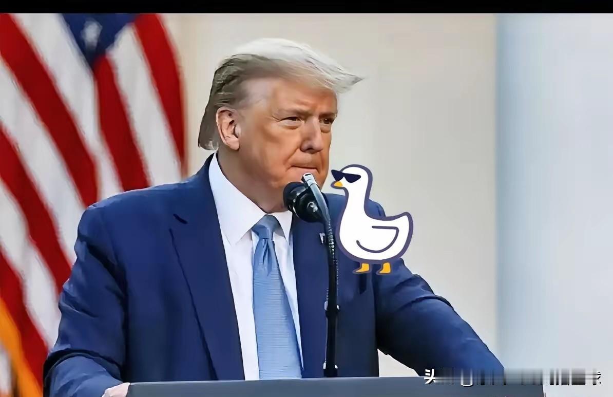 扛不住了
特朗普突然宣布
​​特朗普签署行政令，对咖啡、牛肉、茶叶、香蕉等多种农