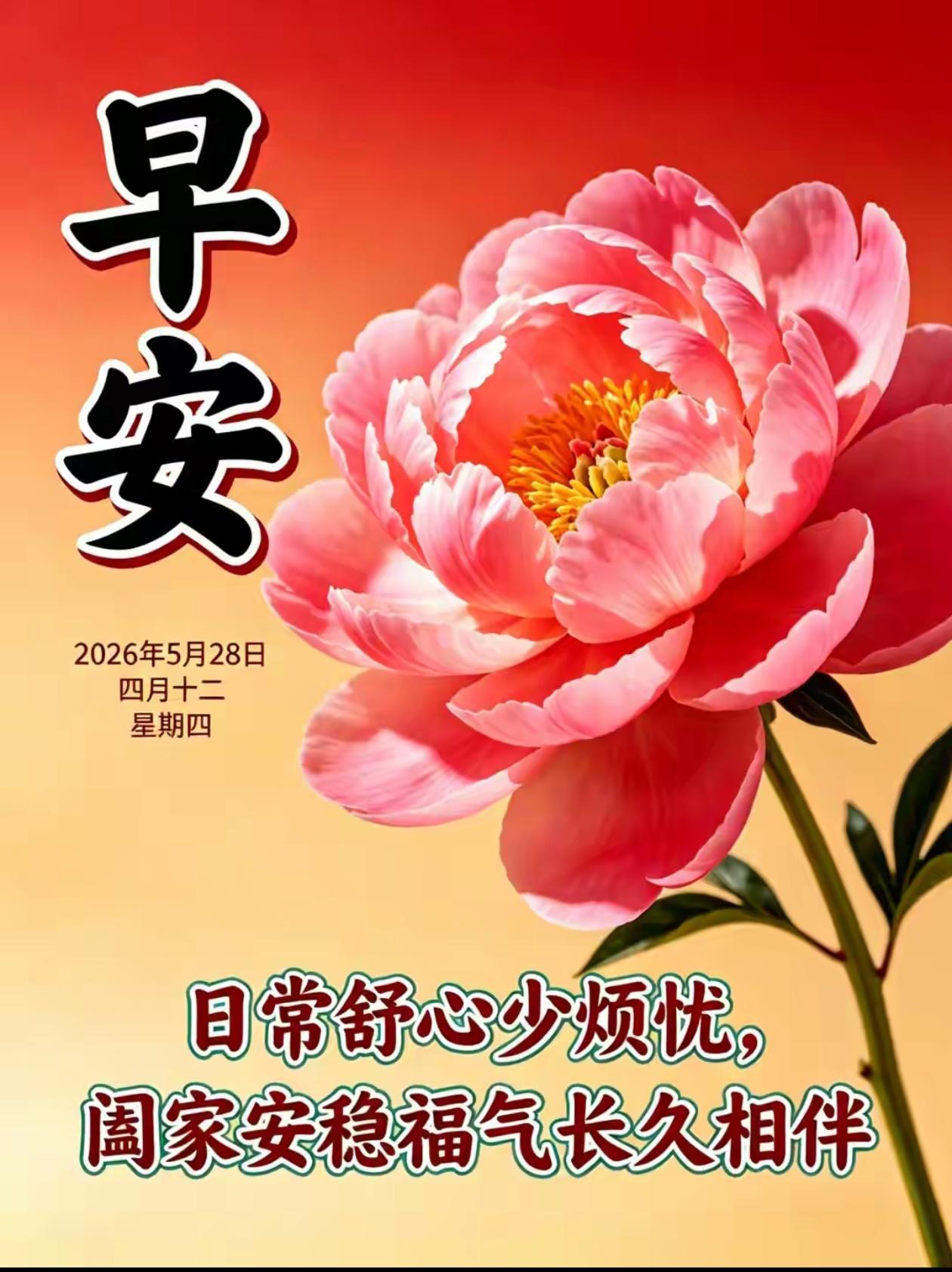 🌺☘️5./28.朝暮皆安稳.所遇皆善良🌺
 
一季清和夏色鲜，人间暖意自相