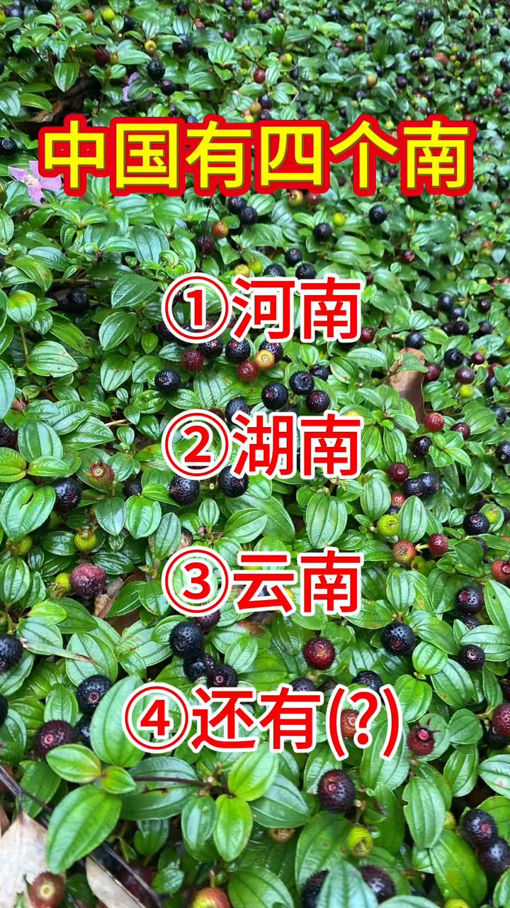 目前没有一人答对中国有四个南：1河南；2湖南；3云南；4还有(？)南京。南京错了