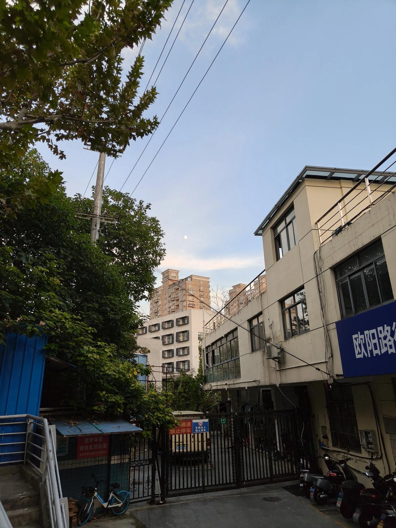 秋日散步随手拍实景图分享！

秋日傍晚🌆随手拍美景分享！

周末鲁迅公园人太多