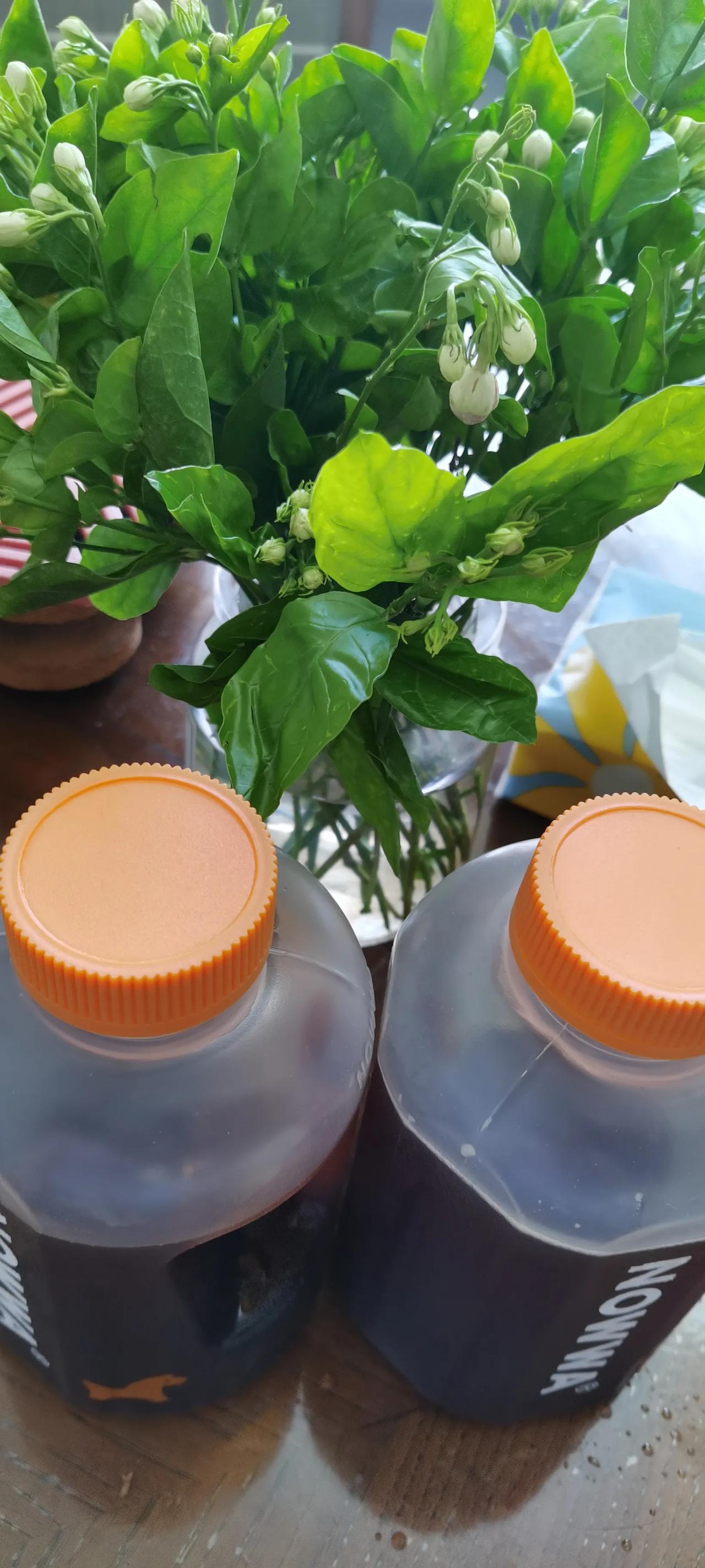 
夏天到了，酸梅汤和茉莉花最般配