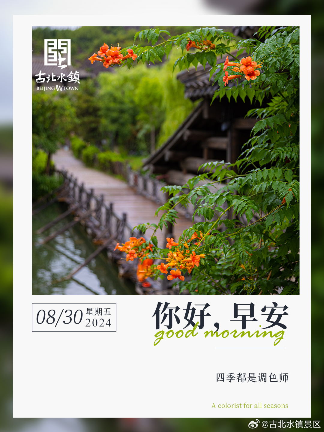 四季都是调色师早安，宝子们~ ​​​