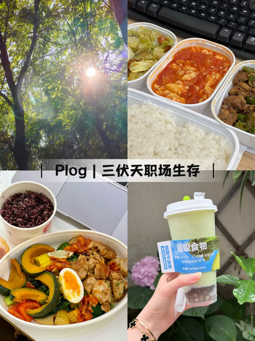 Plog｜𖤣𖥧𖥧𖤣 三伏职场生存𖠚ᐝ 打工人状态