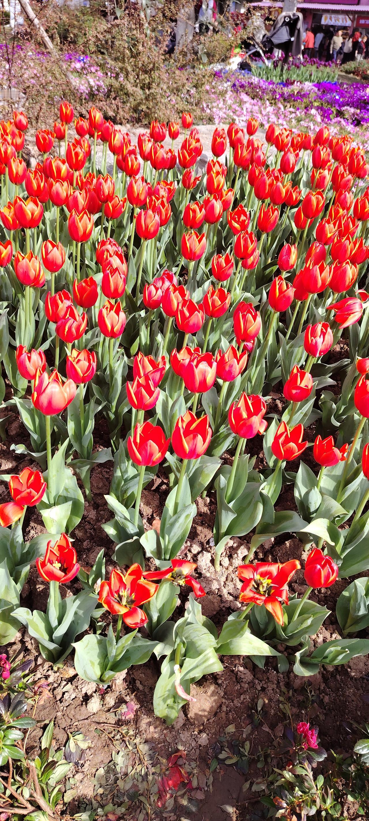 别被网上那些“人均法拉利”的假象给骗了，现实能让99%的人沉默。

一次性掏出5