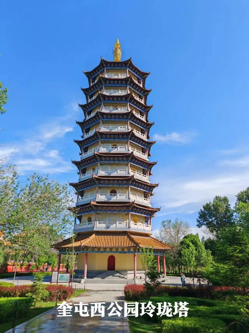 既是并肩作战的战友，也是同窗共读的学友，这双重情谊尤为珍贵，值得一生珍藏、年年回