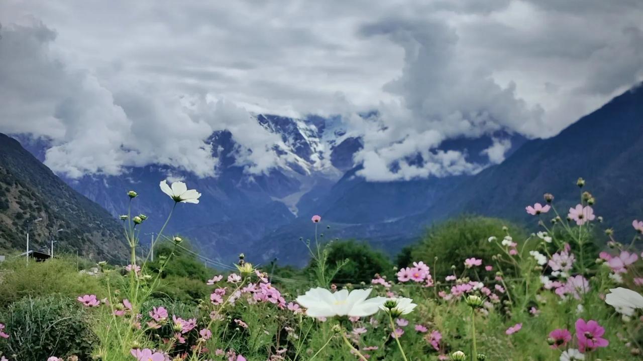 夏日生活打卡季尝试自制水果气泡水，青柠+荔枝+气泡水，咕嘟咕嘟冒泡泡，清爽到打激