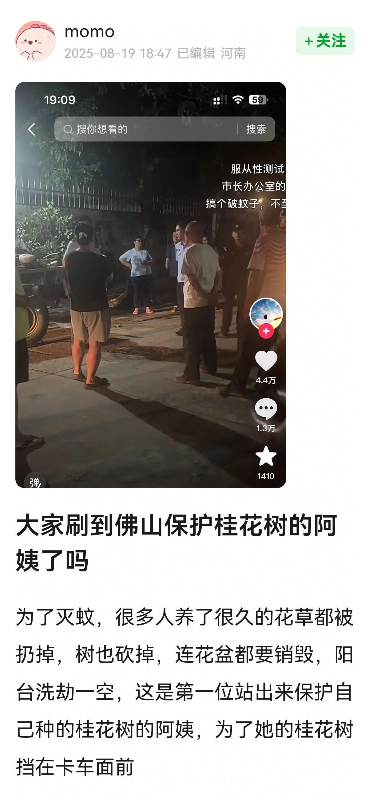 大家刷到佛山保护桂花树的阿姨了吗？[傻眼][傻眼] ​​​