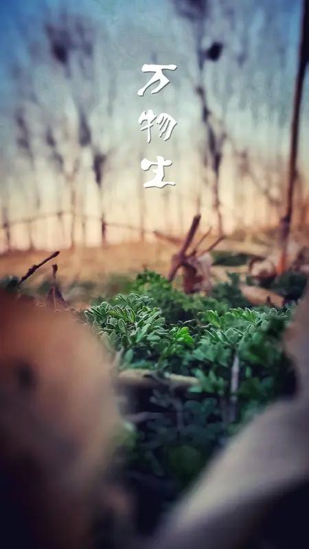 因为三生万物,与“万象”契合吗? “道生一，一生二，二生三，三生万物”，这道家经