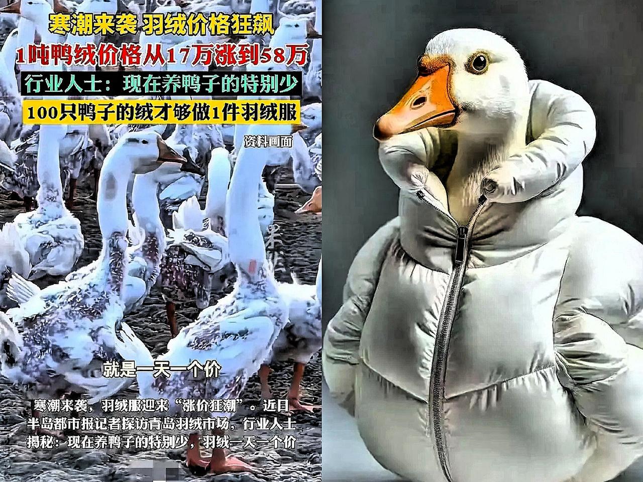 强烈建议大家，
羽绒服赶紧停买停穿，
不是我危言耸听，而是现在的羽绒服市场真的太