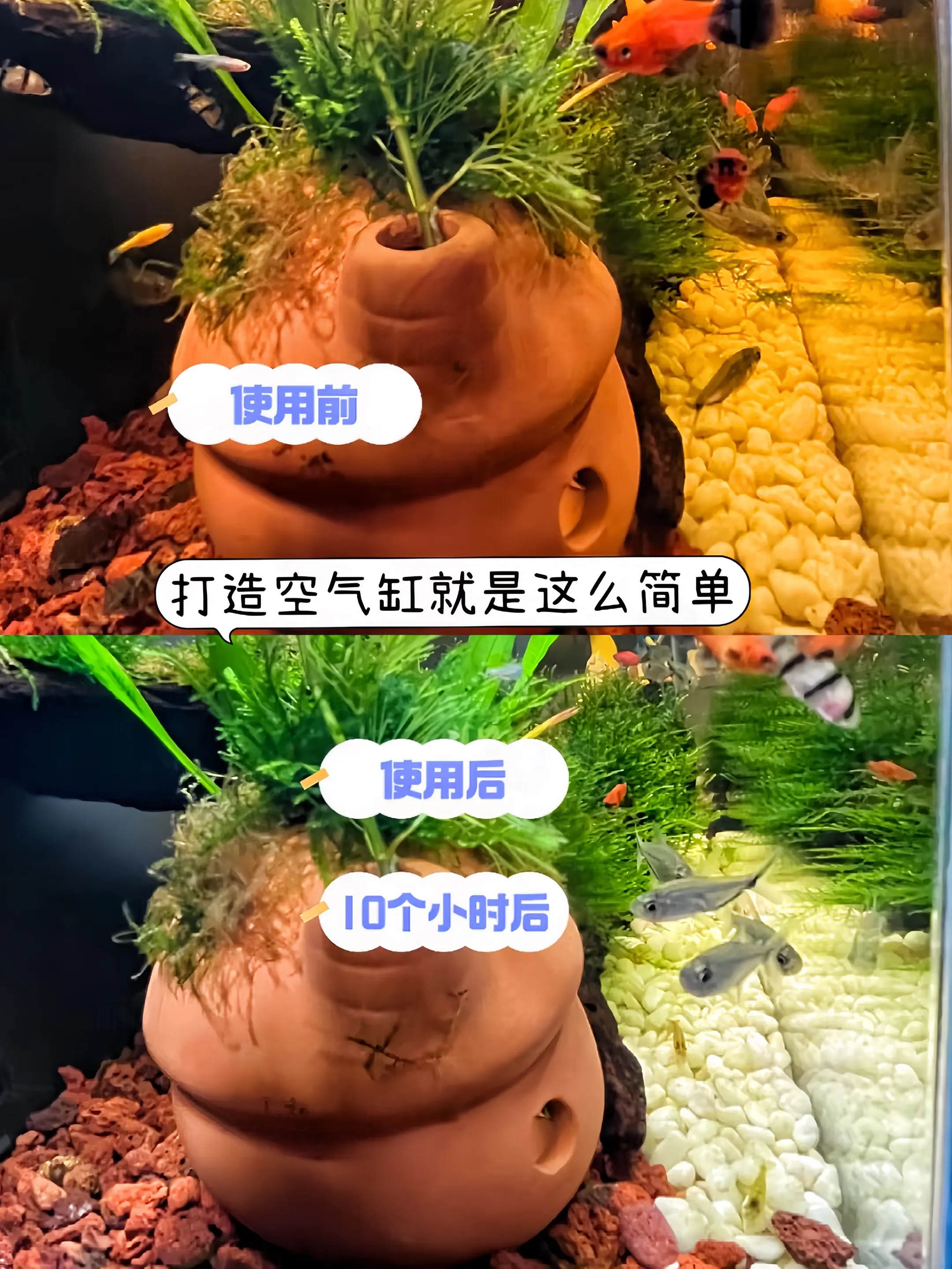 1. 高效净化：养鱼总被水质问题困扰？这款蛋白棉帮你解决！它能像超强吸...