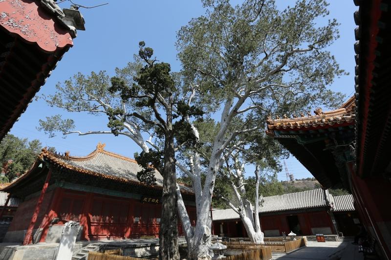 下联：清风明月齐入怀，求上联 对联讲究对仗工整、平仄协调。看到“清风明月齐入怀”