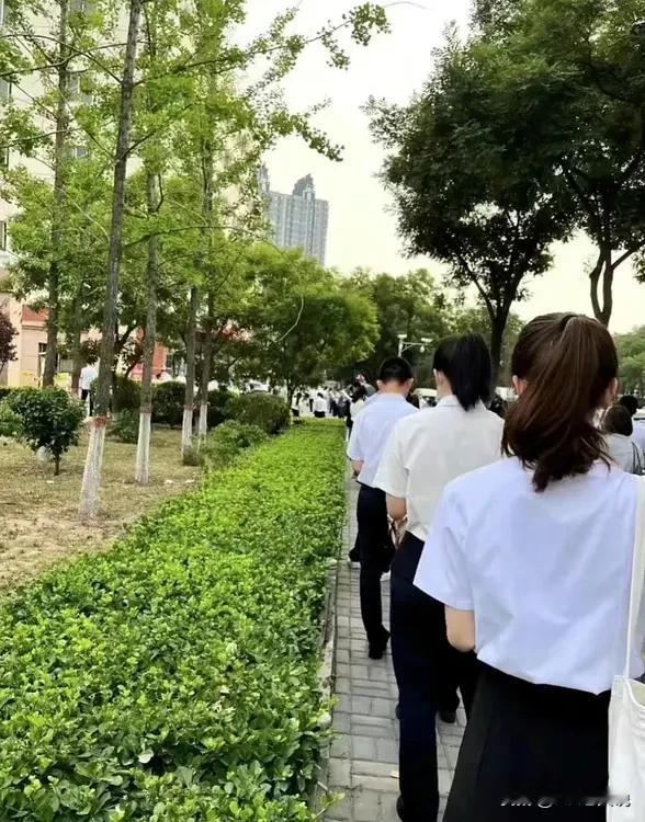 测试部门辞退了一个00后工程师，原因是“连续两个月绩效为D不说，还不服从管理”，