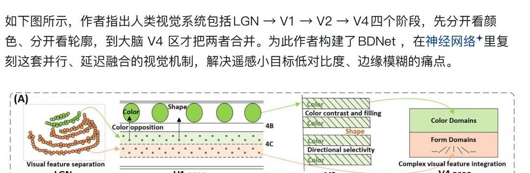 (cvpr26) BDNet 生物启发的小目标检测
图1，研究动机：作者指出人类