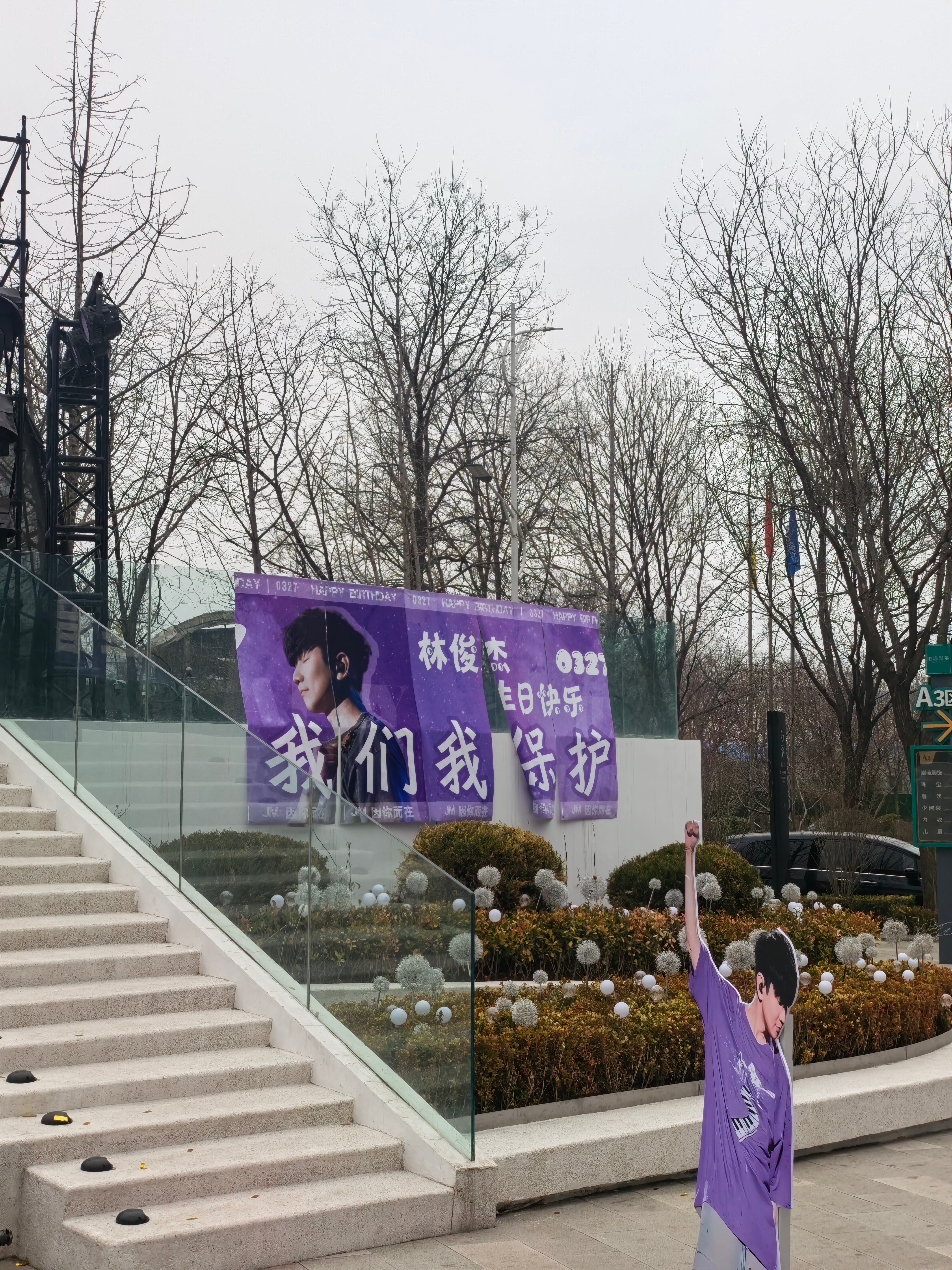 林俊杰是我最喜欢的男歌手之一但是粉丝说的“我们我保护”是啥意思？林俊杰需要保护吗