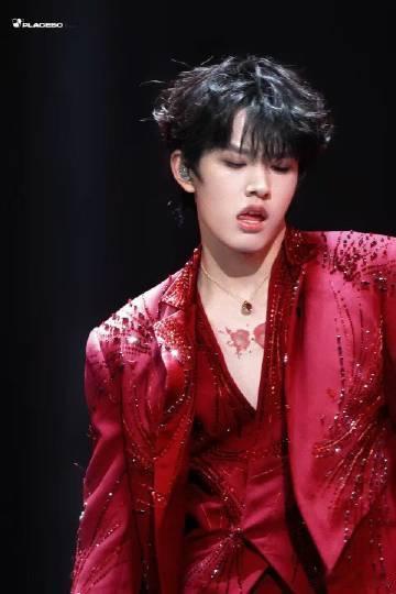 张极胸口蝴蝶 红色西装下，张极胸口的蝴蝶宛如一颗璀璨的宝石。它在舞台的光影中闪烁