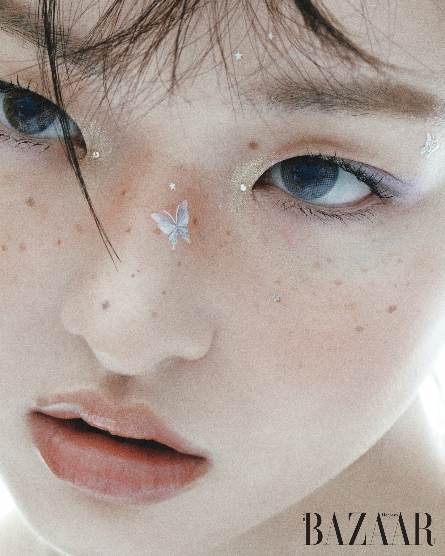 🦋 