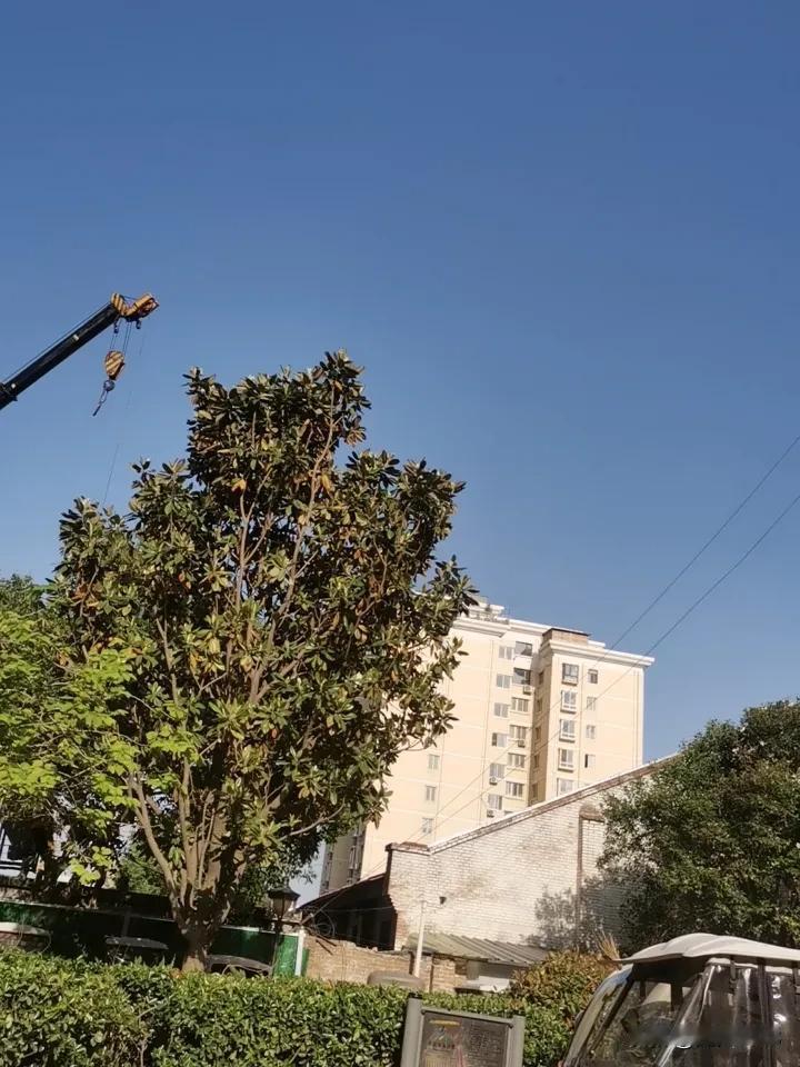 怎么样运气才好？每个人的运气是有定数的，以前都说人要善良。现实中并不是这样的。