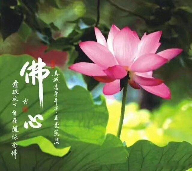 今天7月23日大暑 。《月令七十二候集解》中说：“大暑，六月中。暑，热也，就热之