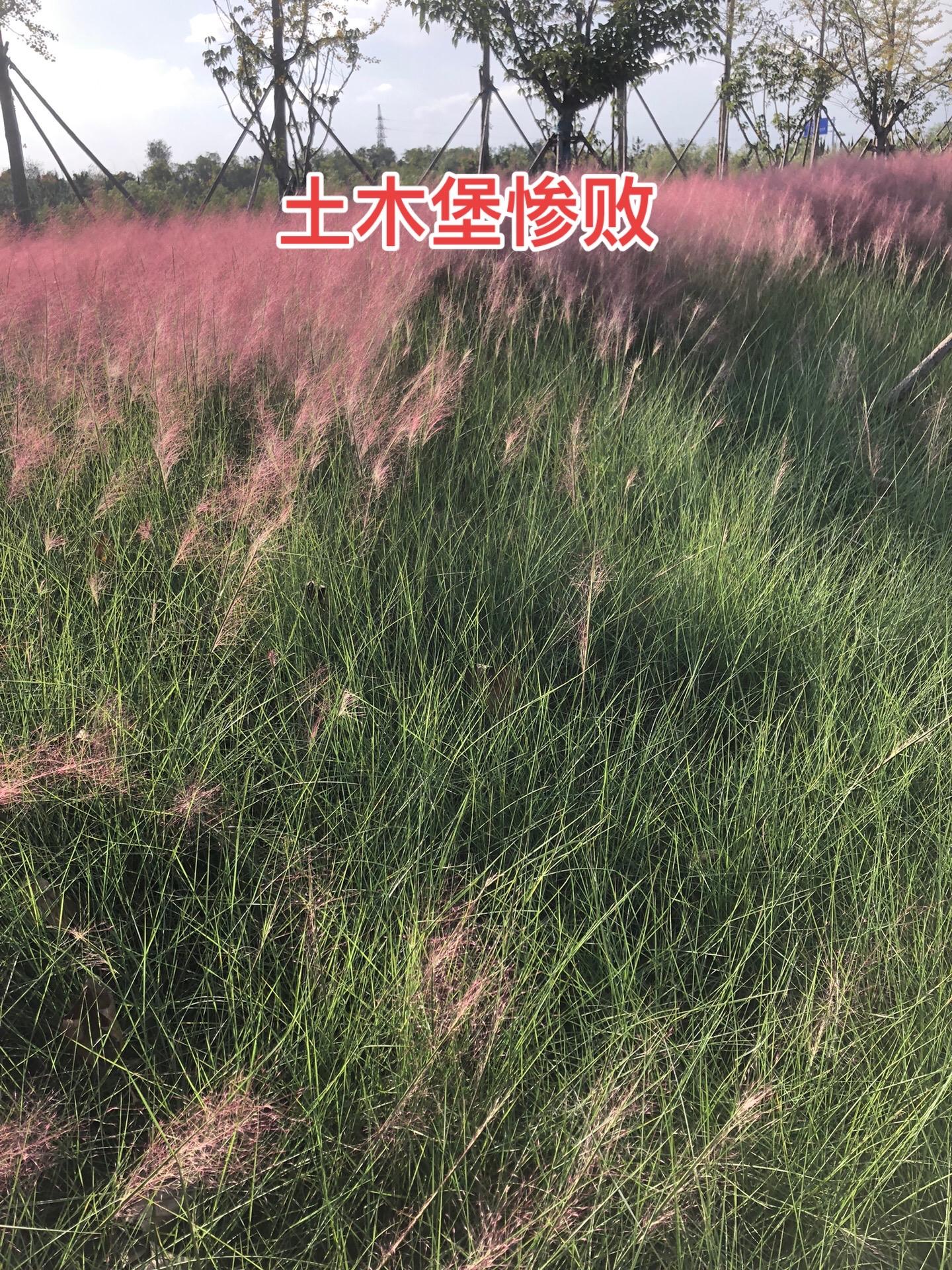 明英宗正统十四年，在太监王振的唆使下，英宗皇帝御驾亲征瓦剌，由于王振的...