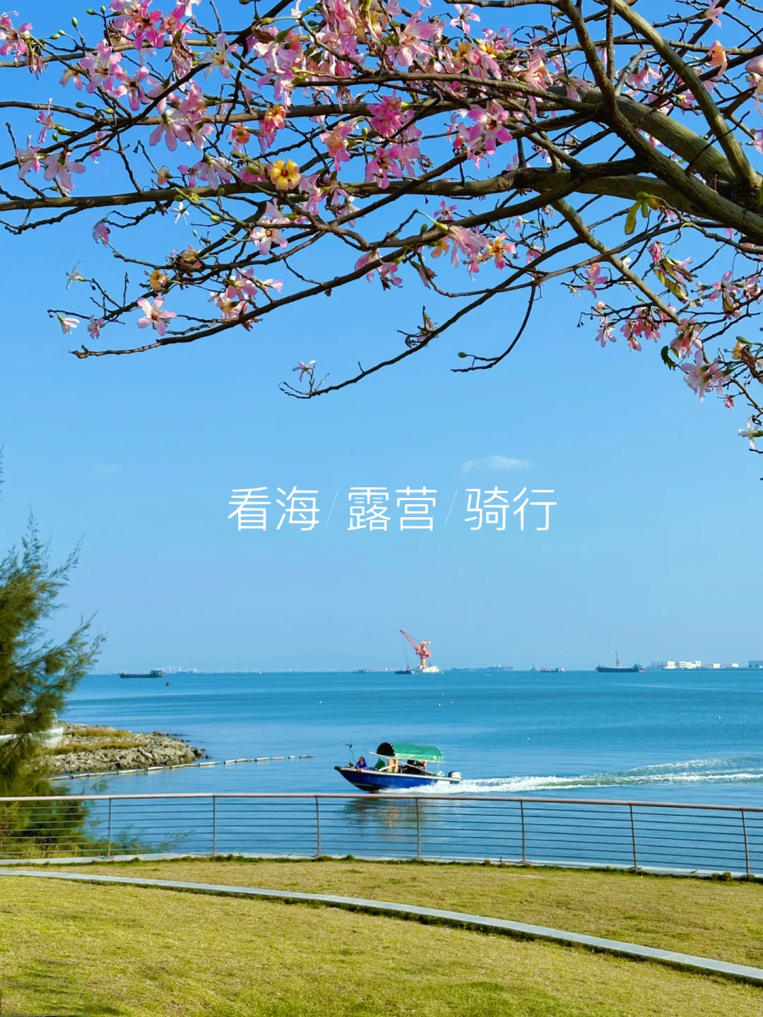 别再去海鸥岛啦！这里露营看海比它美100倍！