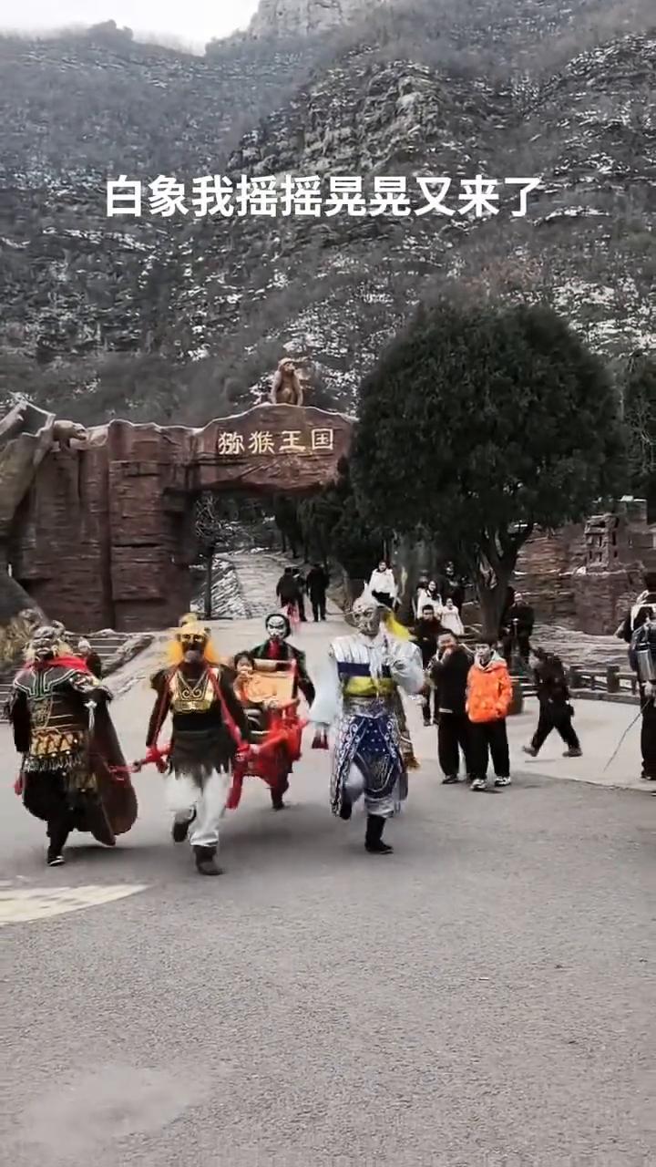 白象我摇摇晃晃又来了。
白象我摇摇晃晃又来了。