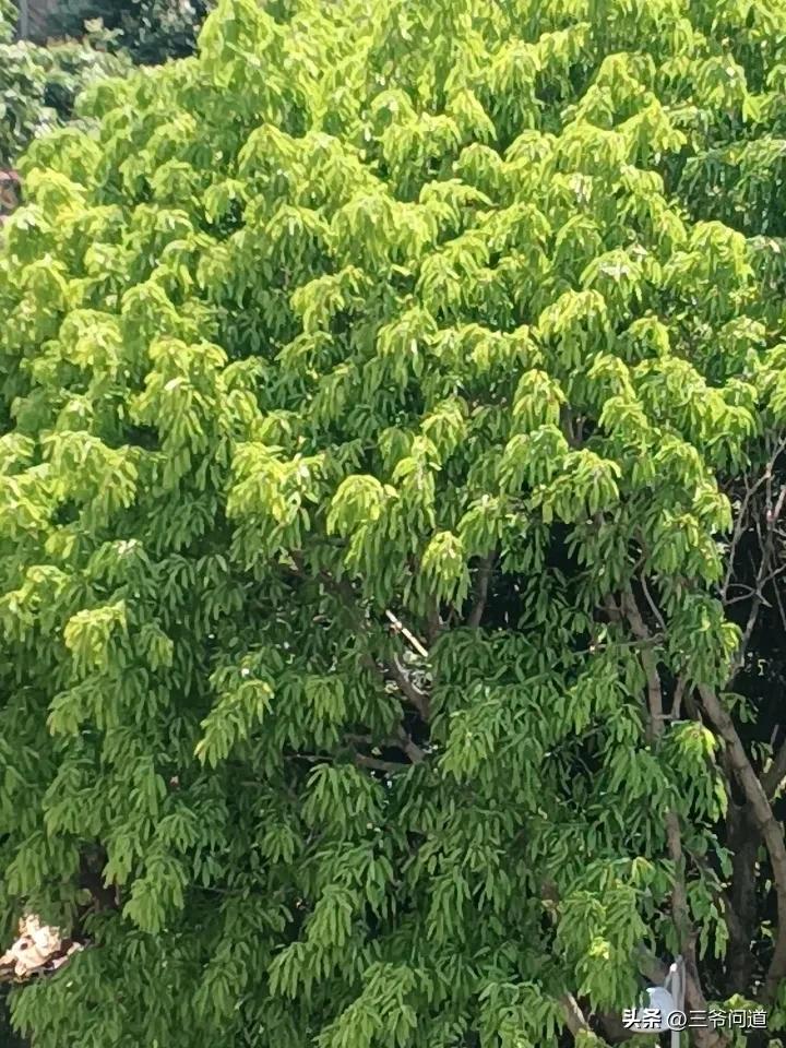 一人发表一句今天的感悟只要欲望降低，人的幸福很简单，人生的痛苦在于能力配不上欲望