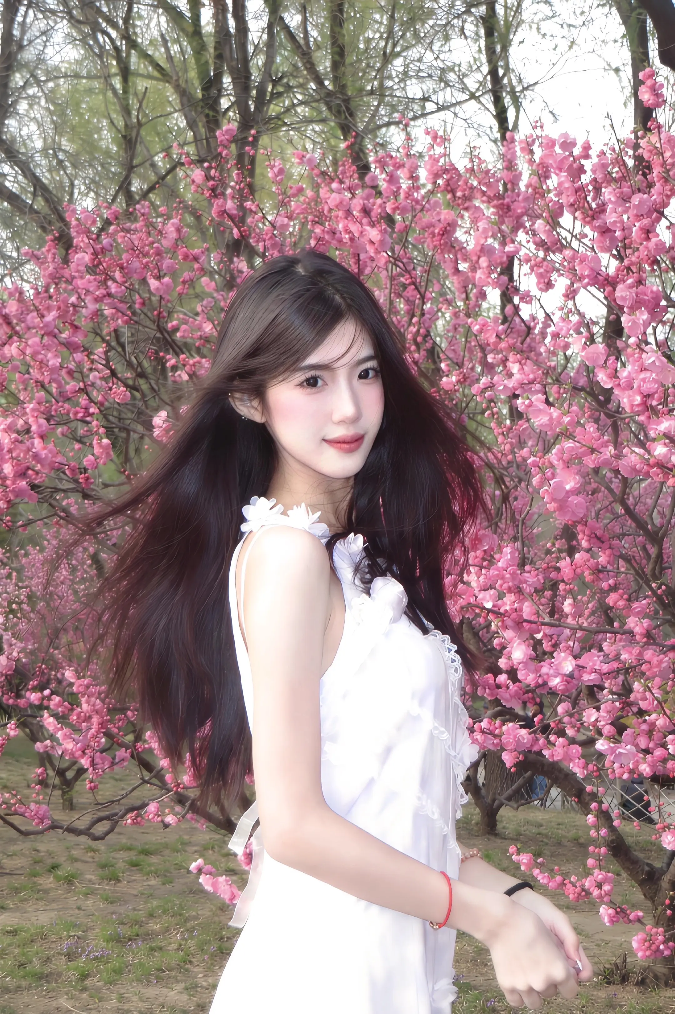 春天允许所有美好发生
