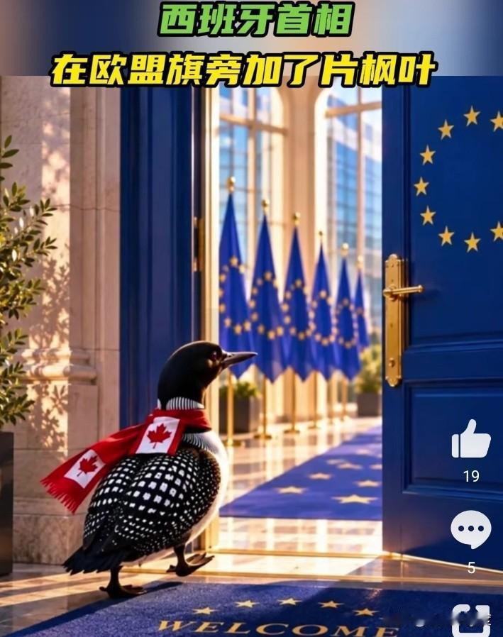 笑死了！
当西班牙首相桑切斯在欧盟的旗帜旁边放了一片树叶之后，
欧盟，美国和加拿