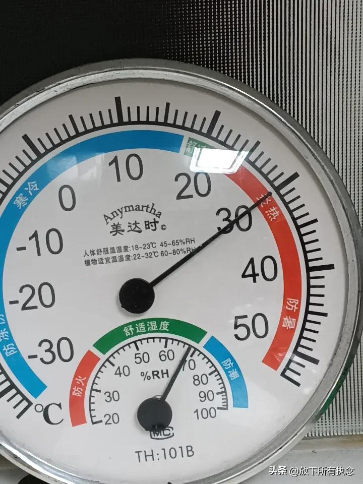 台风巴威在威海闹了好几天，整天下小雨刮大风，虽然没造成啥伤害但是闷热让人受不了。