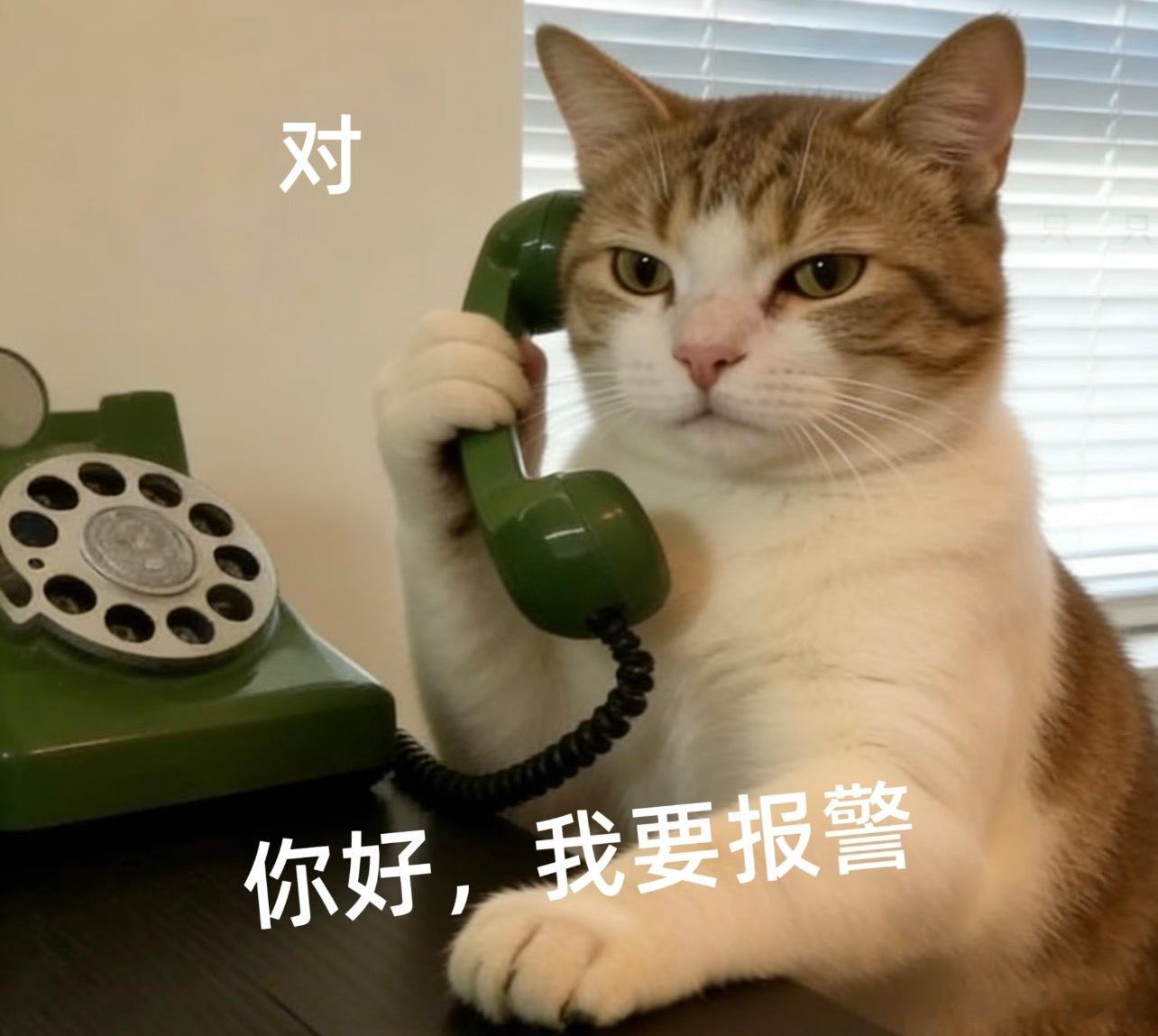 曝90花00生上海定居这爆料人趴床底听到这两人讲话？ 