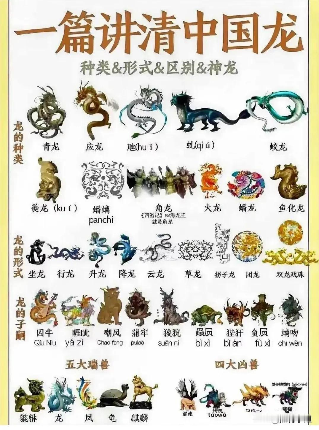一篇讲清中国龙，什么种类、形式、区别、神龙，全都详细的整理出来了！#记录我的20