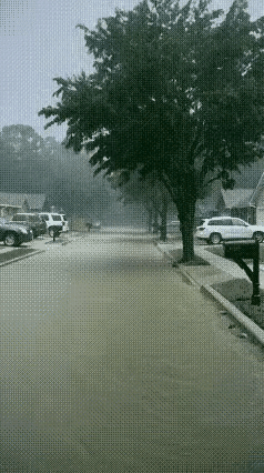 大树枝在狂风暴雨中被风刮断，
进而大树遭雷劈粉身碎骨。
这大树究竟招谁惹谁了，