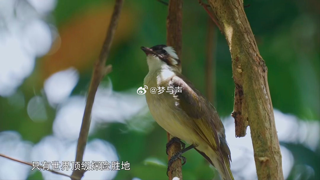 贵州有一条近五千米峡谷漂流秘境寻找最美目的地秘境贵州 漂到一半的时候嗓子哑了鞋湿