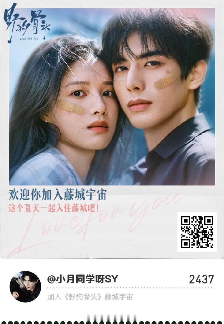 野狗骨头藤城市民招募中快来加入《野狗骨头》藤城宇宙！野狗骨头  《野狗骨头》藤城