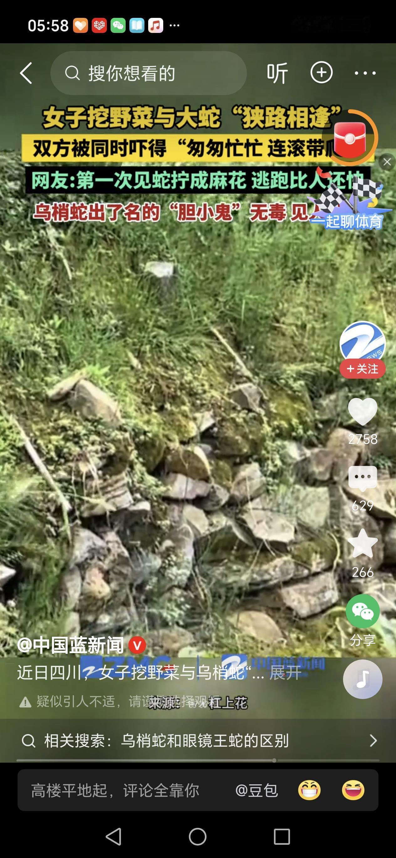 宜宾大姐挖野菜遭遇“黑龙”突袭！2 米大蛇窜出，结局却让人笑喷：到底谁吓谁？
