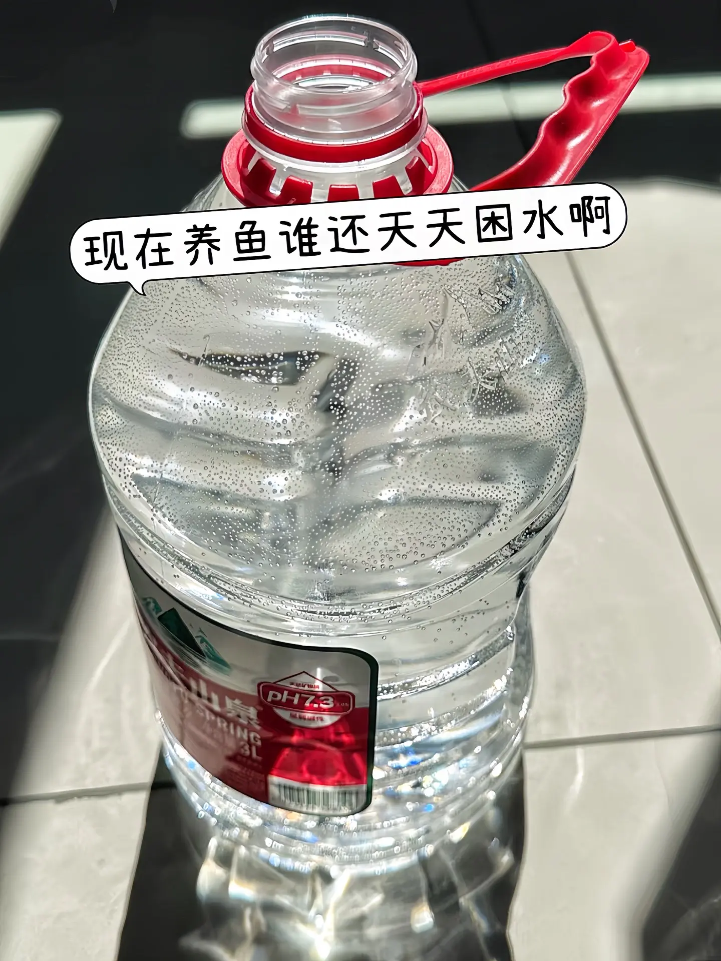 换水怕伤鱼？鱼乐宝化解难题！迅速中和水中氯残留，让换水变得安全无忧，为...