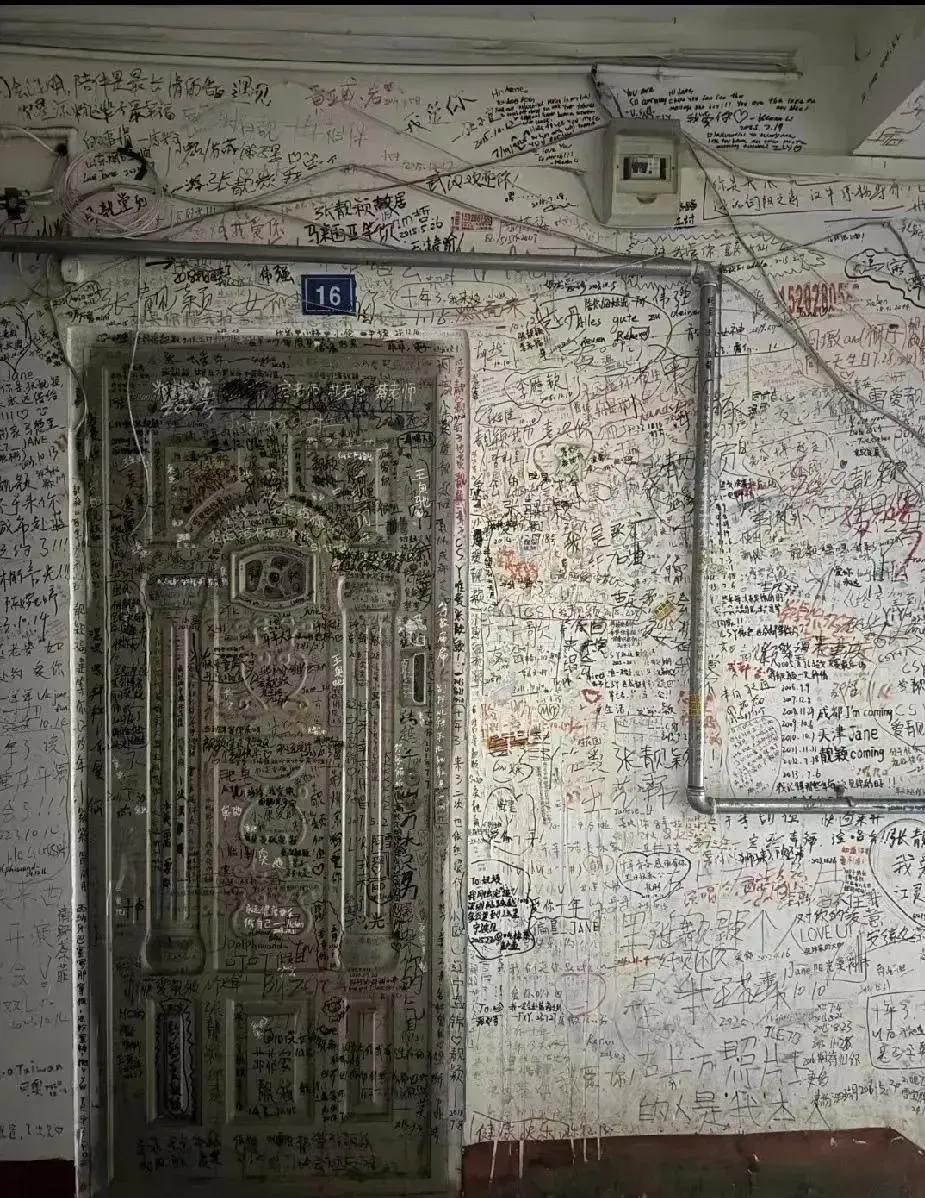 放大图仔细看，一眼就能认出这是谁家的房子了！