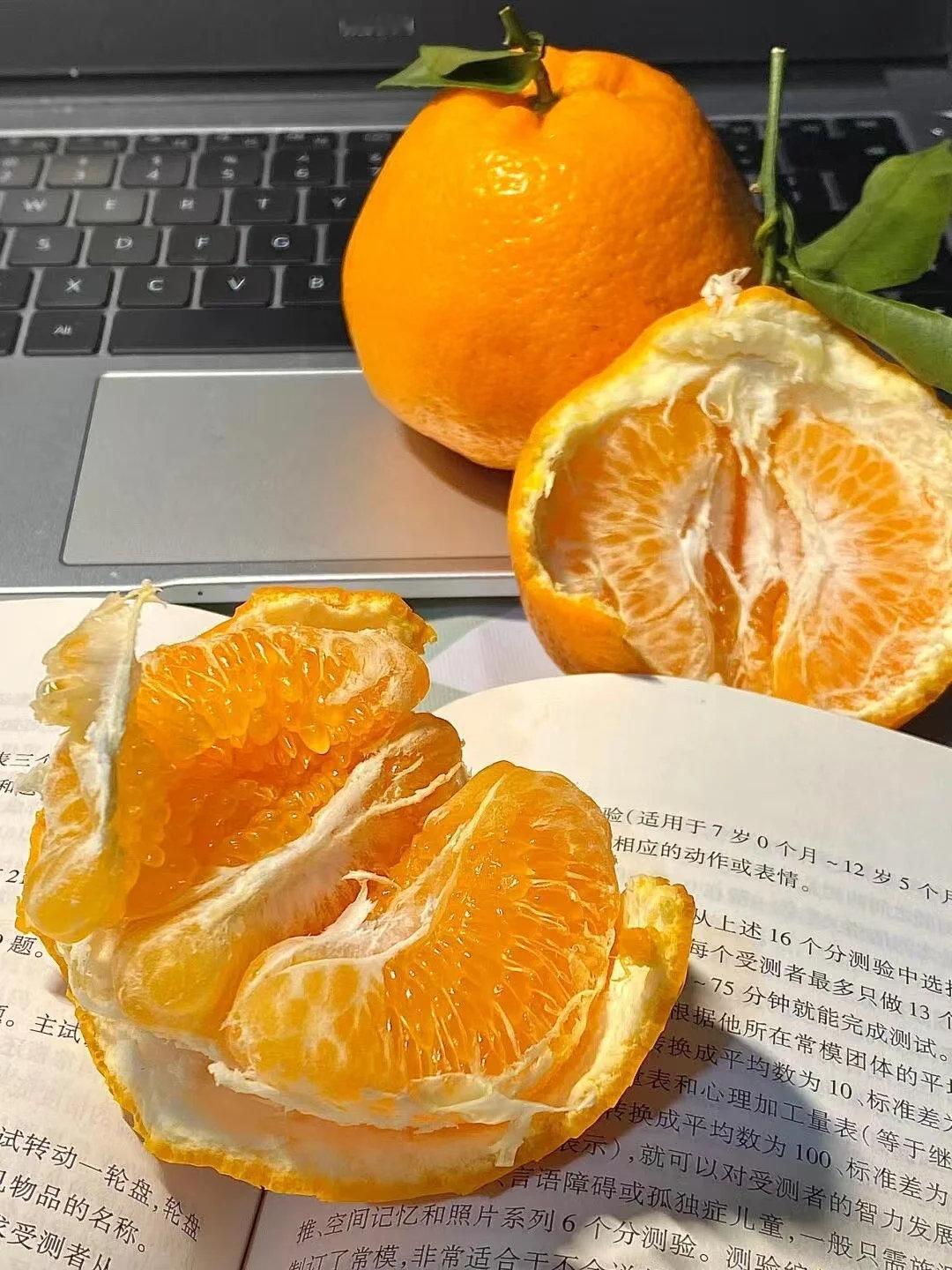 产地发货，四川春见耙耙柑，一口爆汁粑粑柑🍊一口爆汁！⭐【4.5斤只要29.9‼