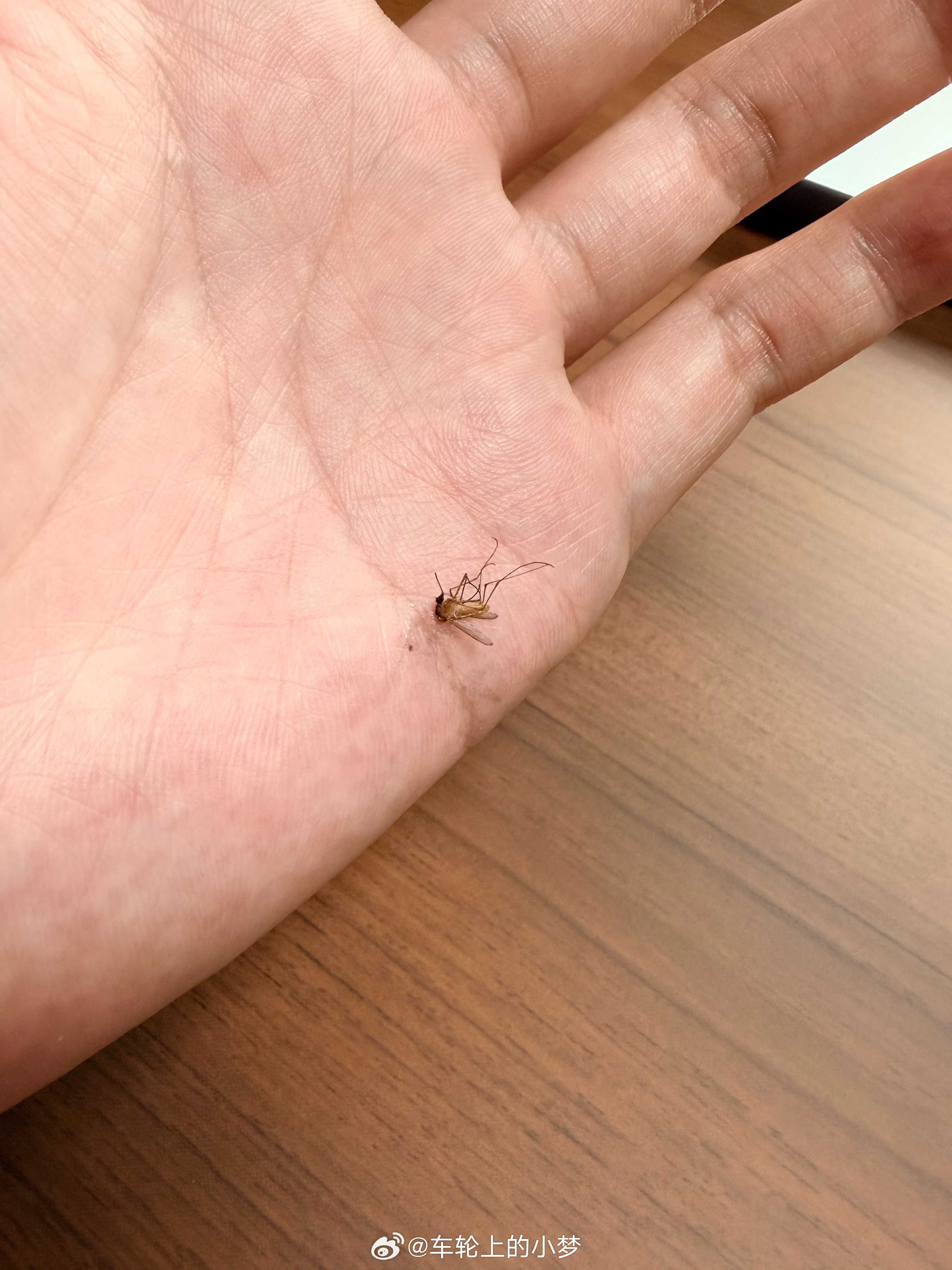 每年毕业季，网上都会出现大量“毕业生入职攻略”。有人教你怎么写简历，有人教你怎么