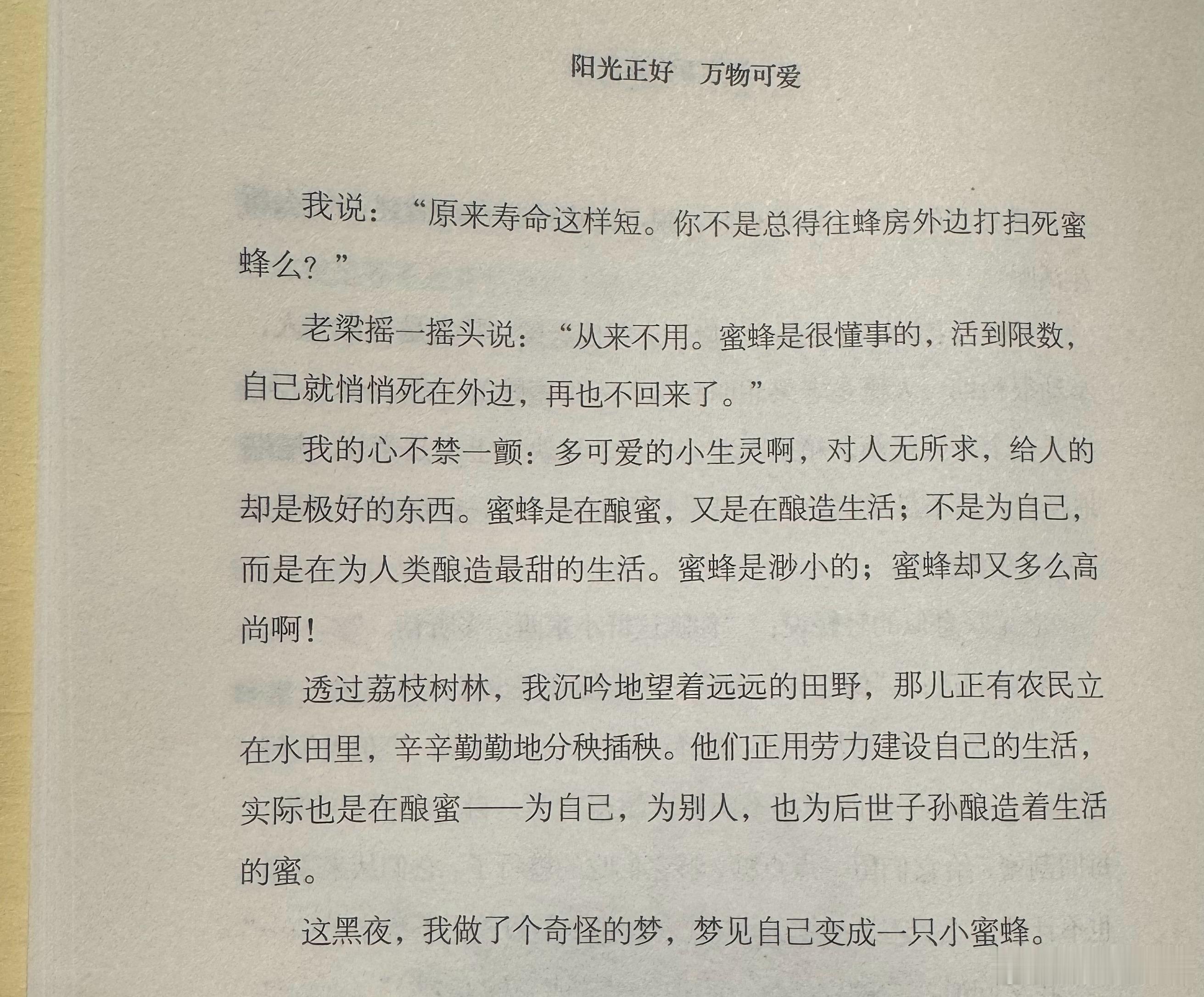 投行泰山的2026年百本纸质书阅读计划 No.033《阳光正好 万物可爱》（巴金