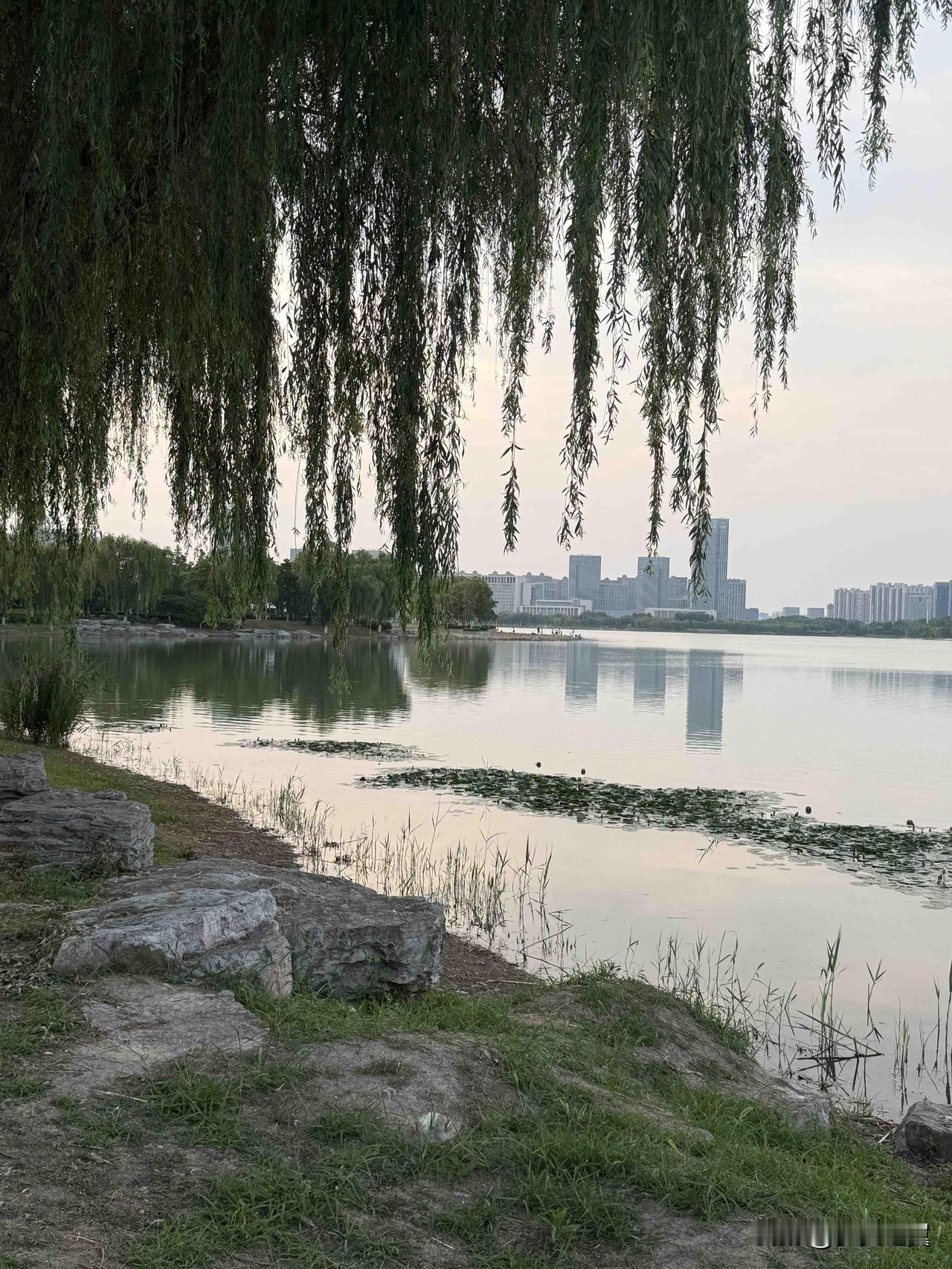 夏日美景随拍一边散步，一也拍照，美景相伴。