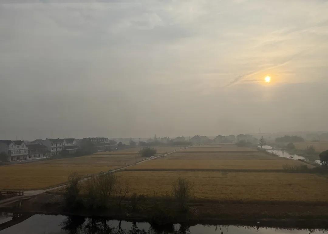 上海地铁16号线｜今天又起雾了。
到了深秋，看很漂亮的日出越来越难了。
我的城市