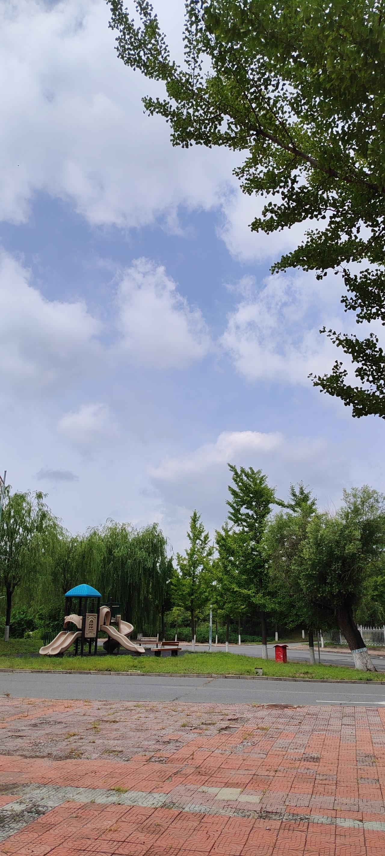 枯木逢春：老树历经霜雪，枝干皲裂，看似生机断绝，却在某个清晨悄然抽出新芽。《道德