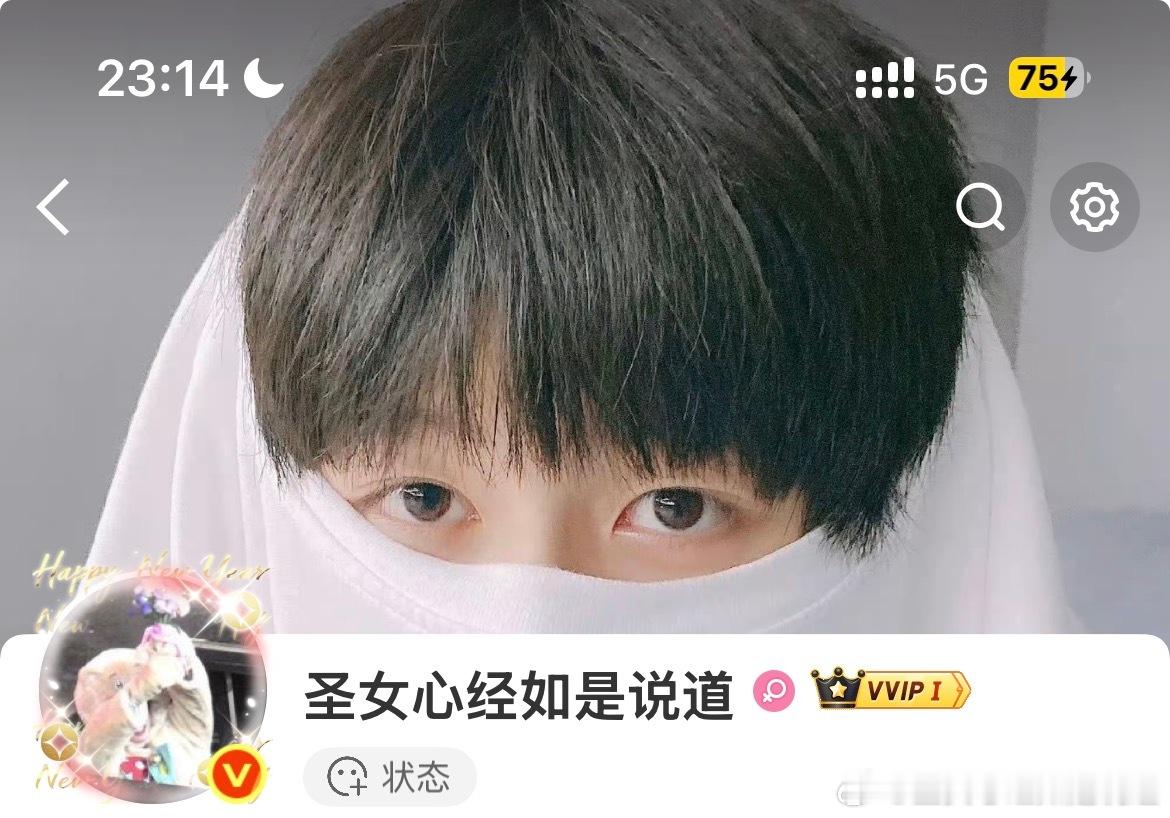 这个背景也是特别特别喜欢！！！这个已经用了很多年了，这个猪把自己藏起来特别可爱，