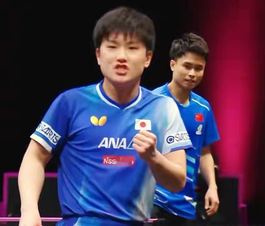 张本智和打疯了，陈俊崧在哪里？
多哈WTT 冠军赛，张本智和越战越勇，对国乒两连